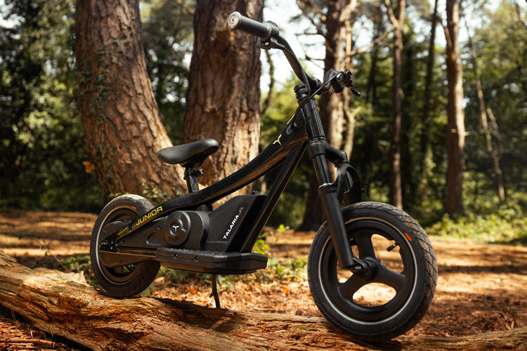 KIDS ELECTRIC BIKES electric motorbikes
