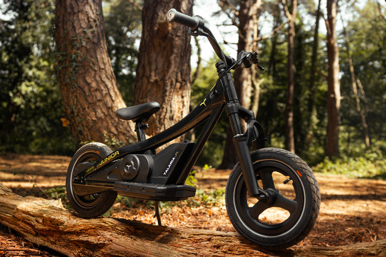 KIDS ELECTRIC BIKES