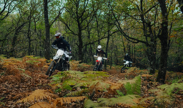 Stark VARG EX vs Sur-Ron Ultra Bee HP: Which Fits Your Riding?