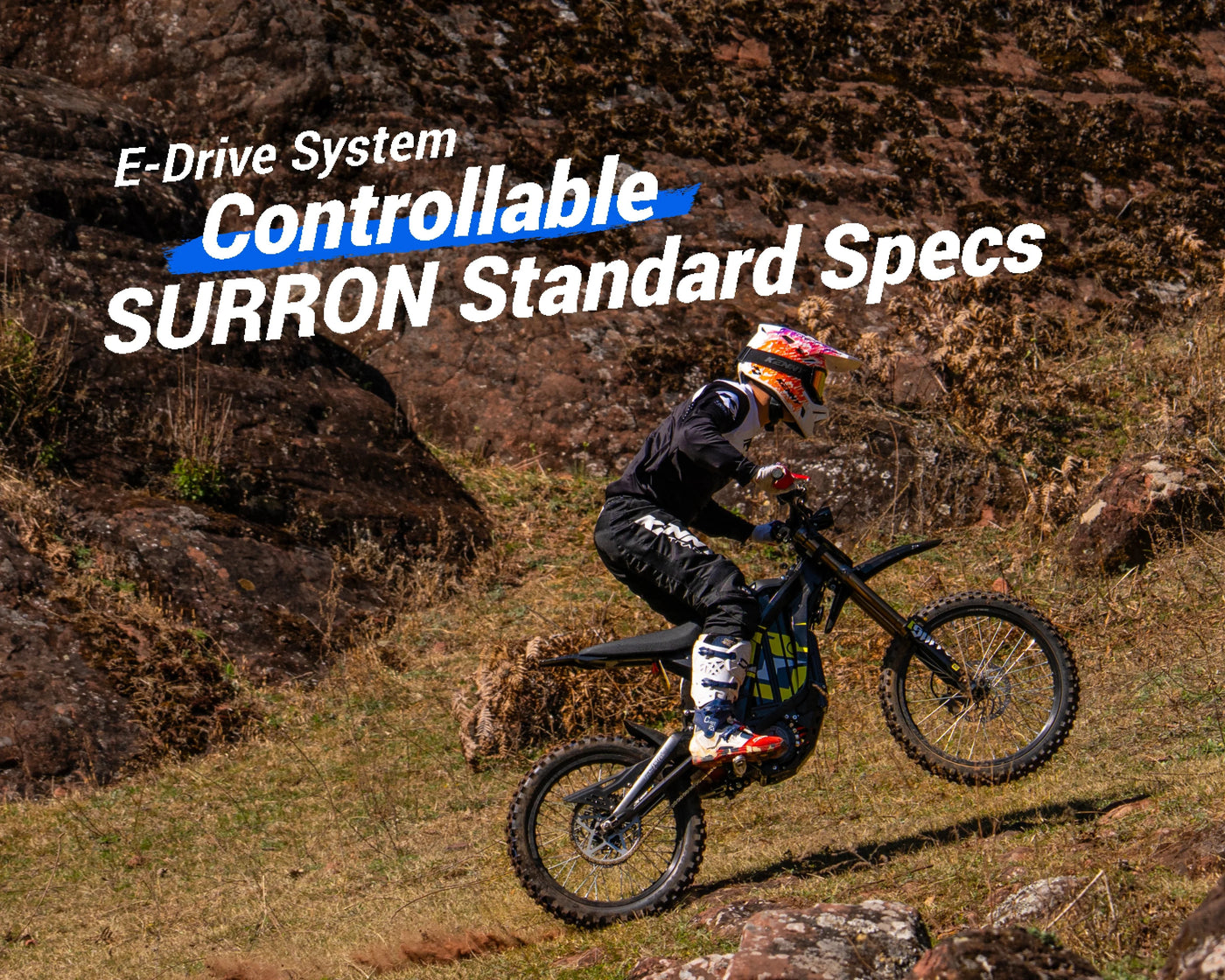 SUR-RON LIGHT BEE LBX | 2026 ELECTRIC DIRT BIKE