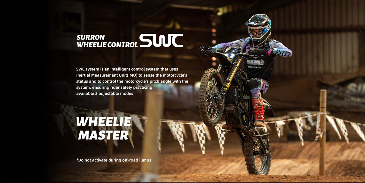SUR-RON ULTRA BEE electric dirt bike rear view