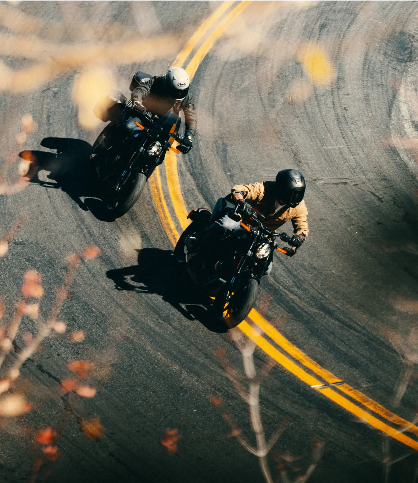 LIVEWIRE S2 ALPINISTA | ELECTRIC MOTORBIKE