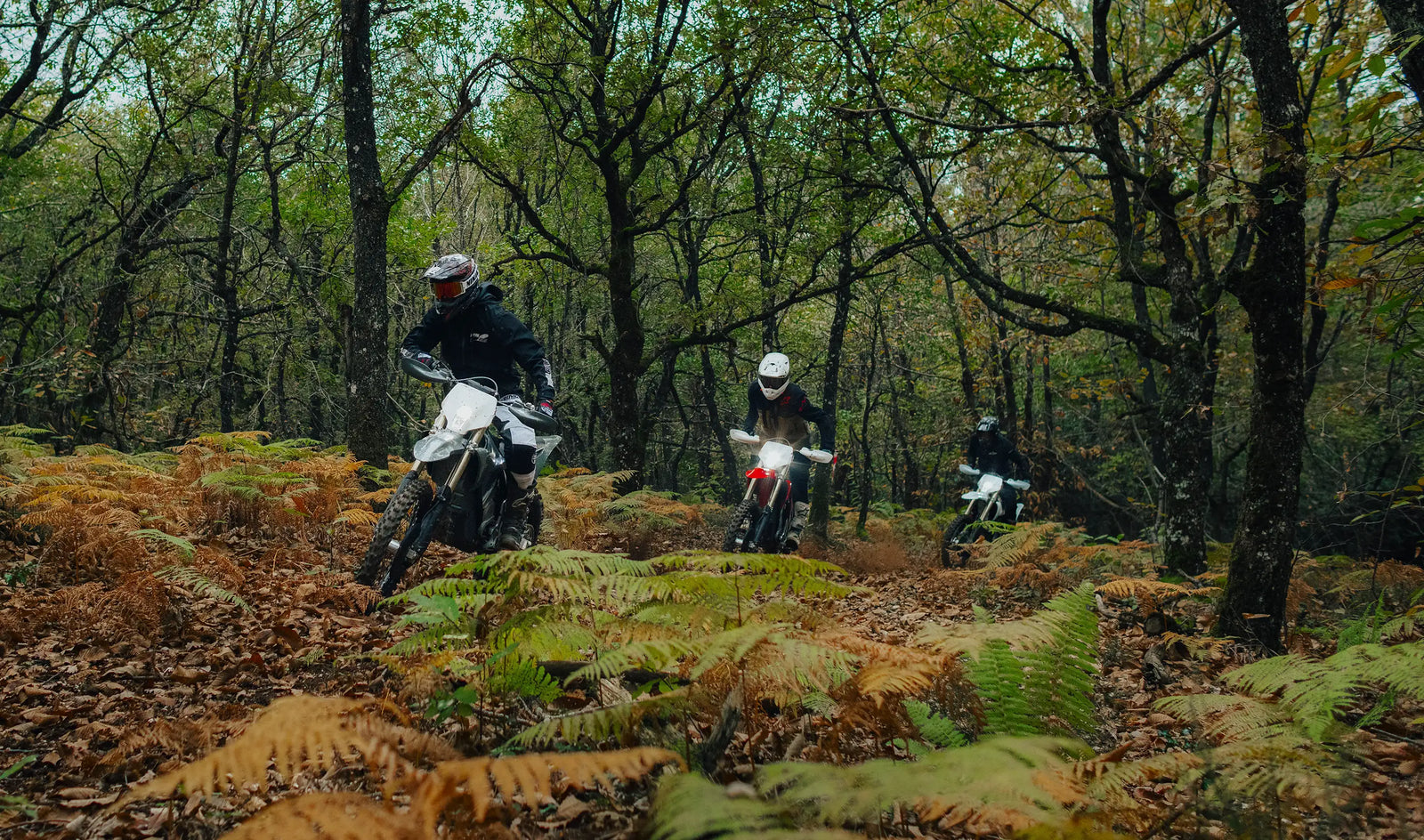 Stark Varg electric motorbike at the MotoEbikes showroom