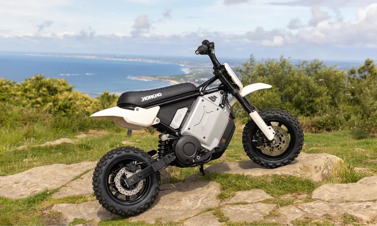 LiveWire S4 Honcho Trail parked on rocky coastal ground with its off-road tyres visible