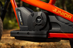 Talaria JR-12 ET01 - 12 inch - Kids Electric Dirt Bike | ELECTRIC DIRT BIKE