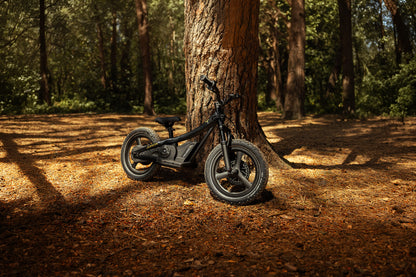 Talaria JR-16 ET01P 16-inch junior electric bike in Gloss Black