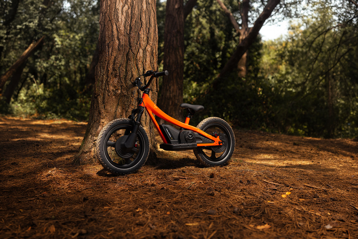 Talaria JR-16 ET01P 16-inch junior electric bike in Gloss Orange